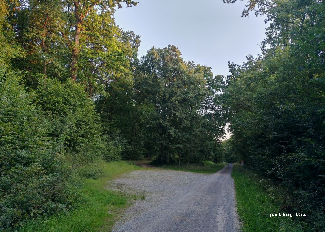 (59740) Liessies - 14 Rue de la Motte — foto 5