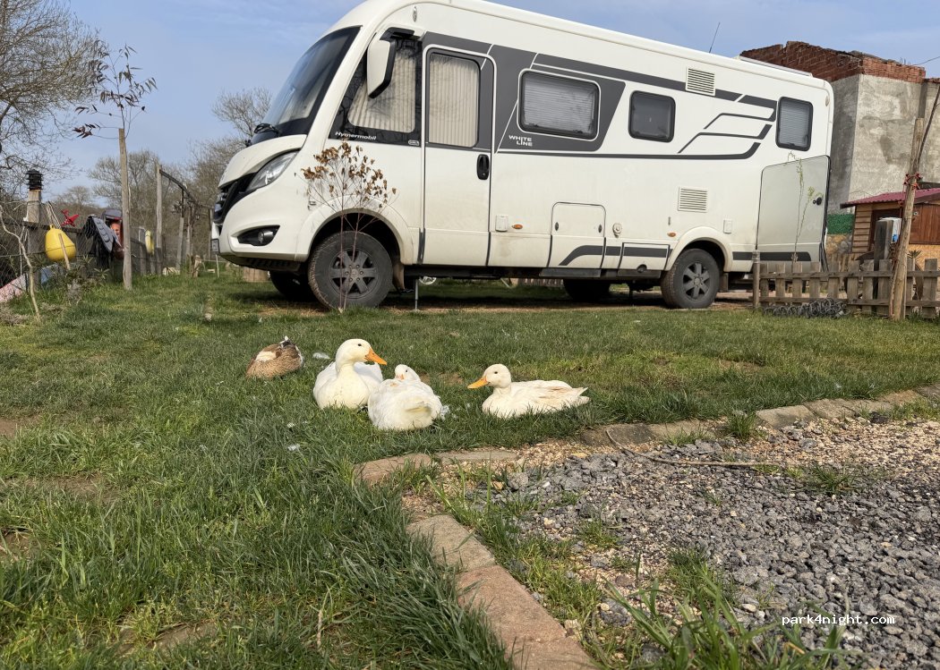 By Alya Camping Karavan Park Kamp Alanı — foto 3