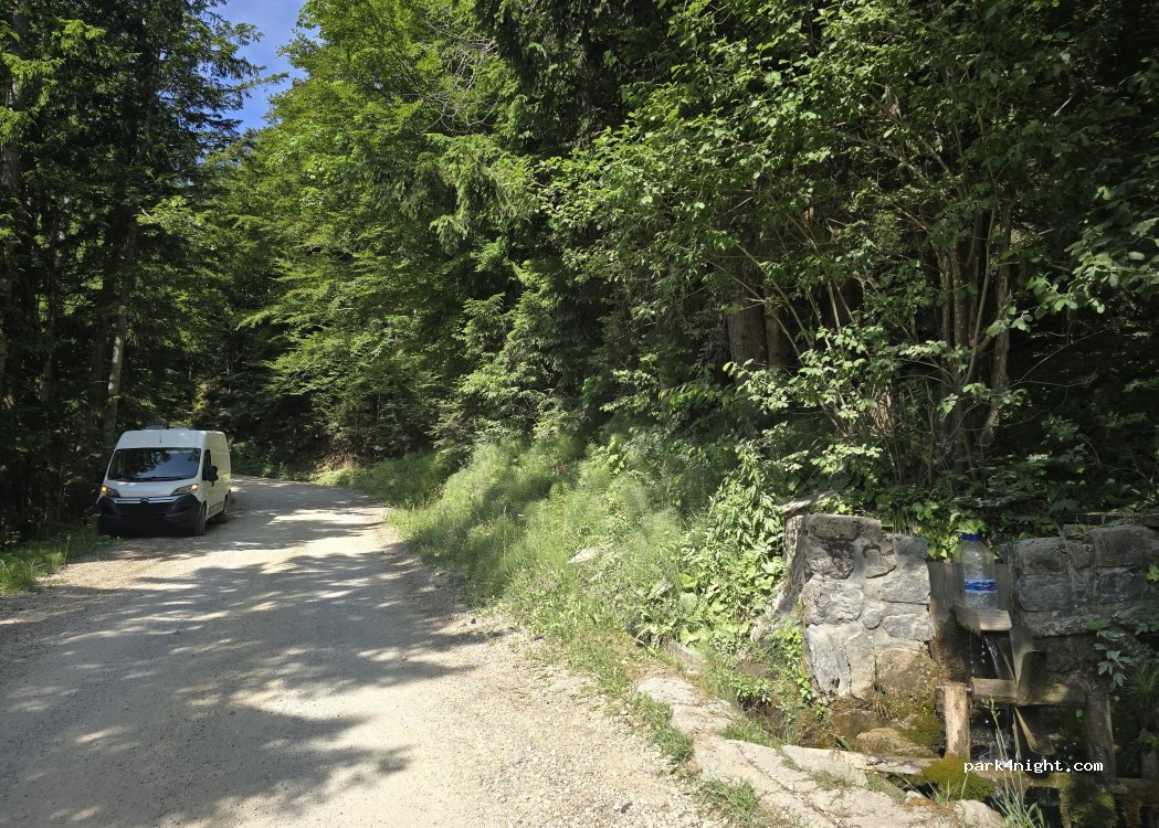 (3335) Solčava - Podolševa — foto
