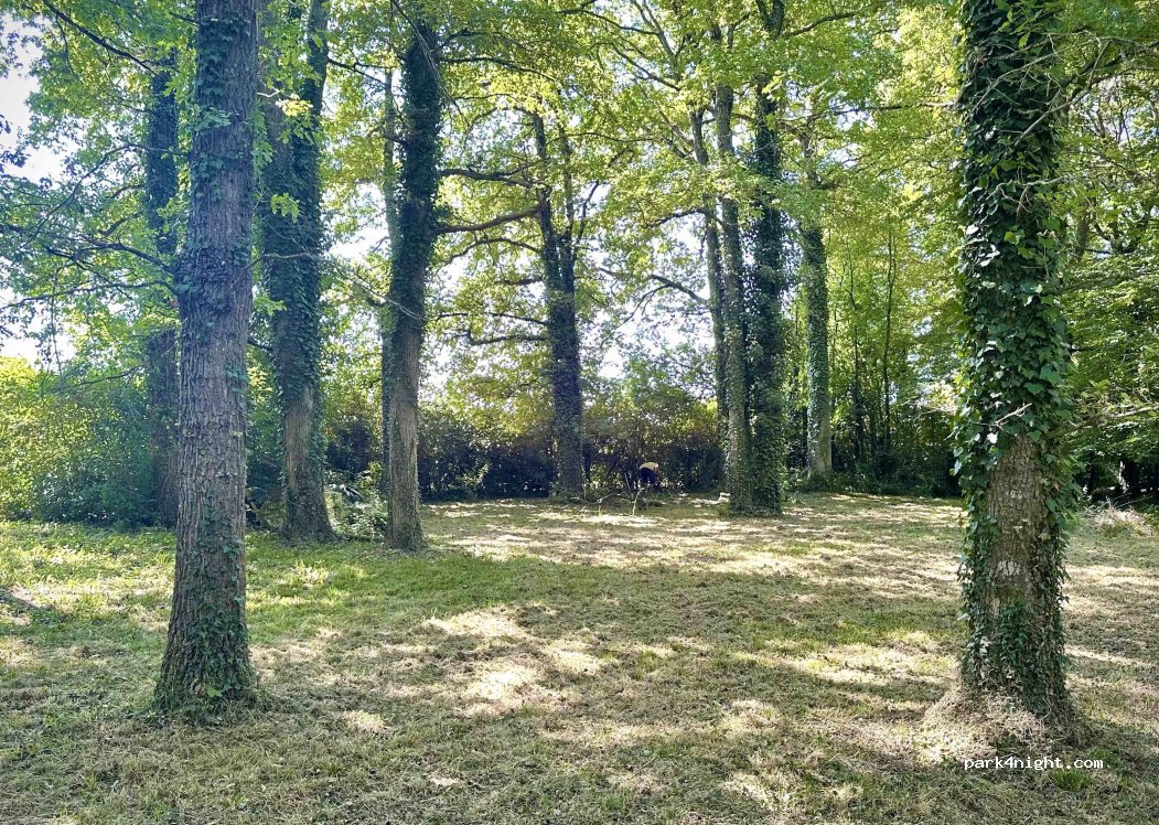 (37230) Fondettes - 1701 La Butte — foto 2