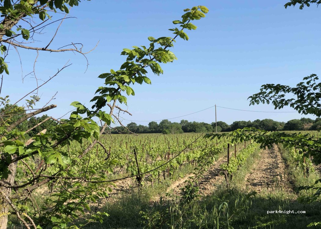 (30740) Le Cailar - 50 Chemin d'Asport — foto 3