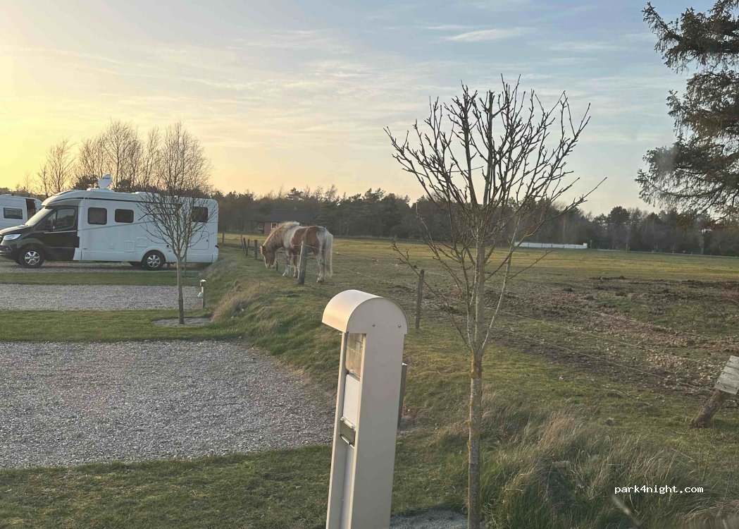 (6792) Rømø - 1 Vråbyvej — foto 2