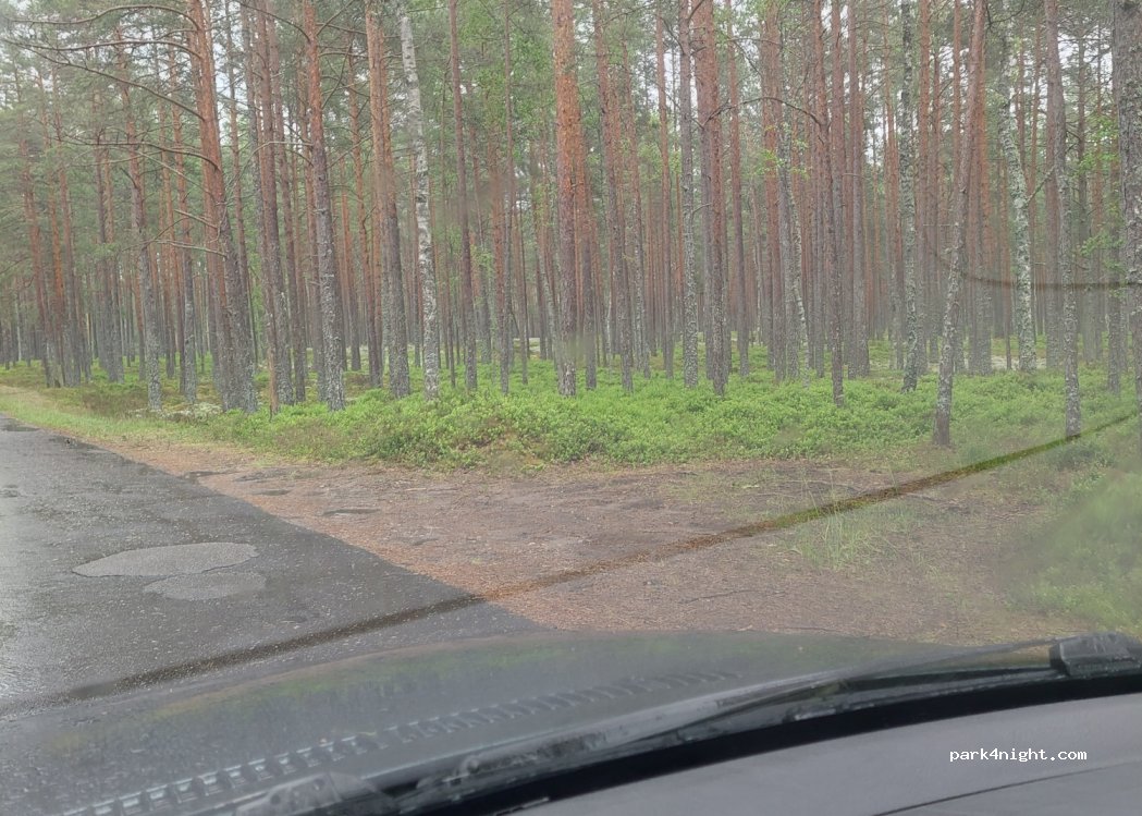 (3113) Engure - Unnamed Road — foto 2