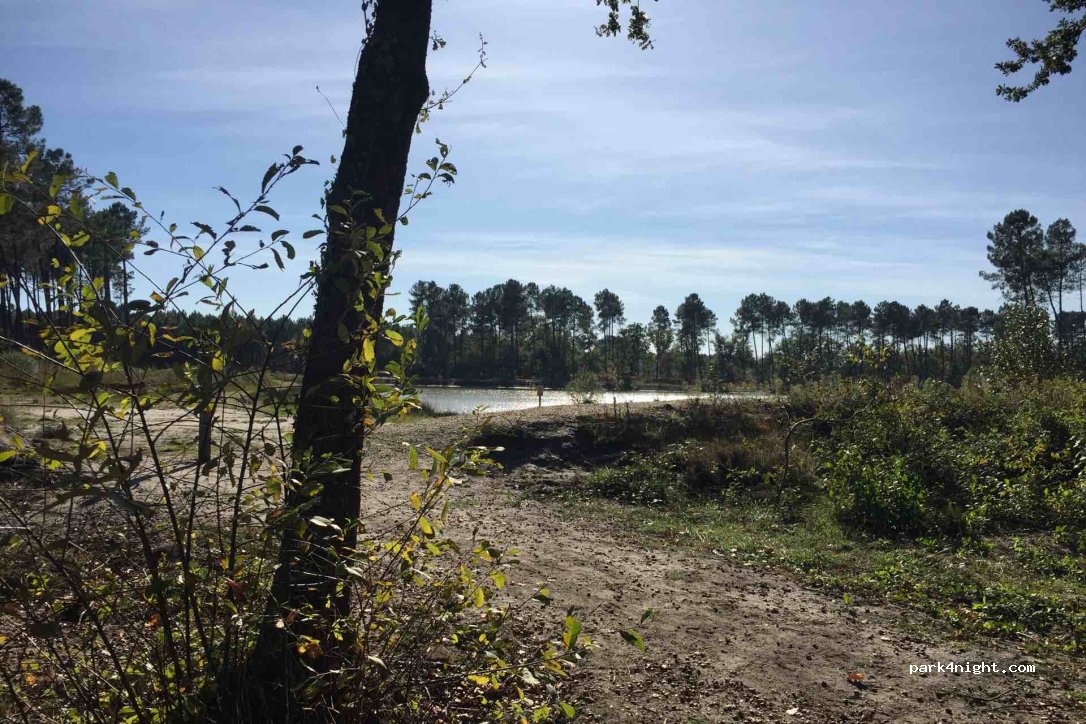 (33840) Captieux - 221 Le Gaille — foto 2