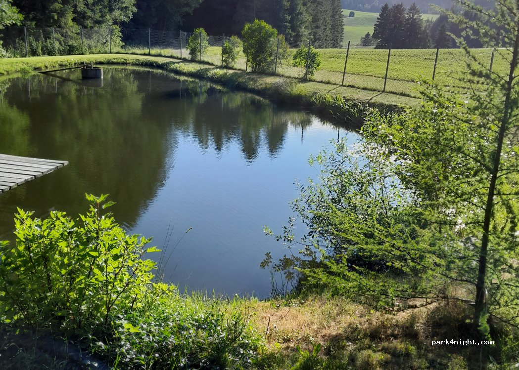 () Sankt Georgen am Walde - — foto 2