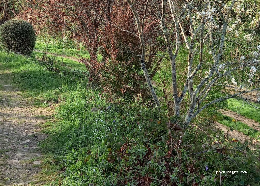 (12700) Naussac - 362 Cavaillac — foto