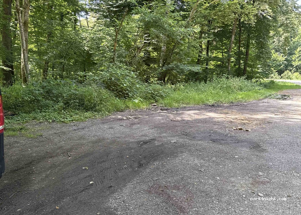 (70200) Froideterre - Rue du Grand Bois — foto