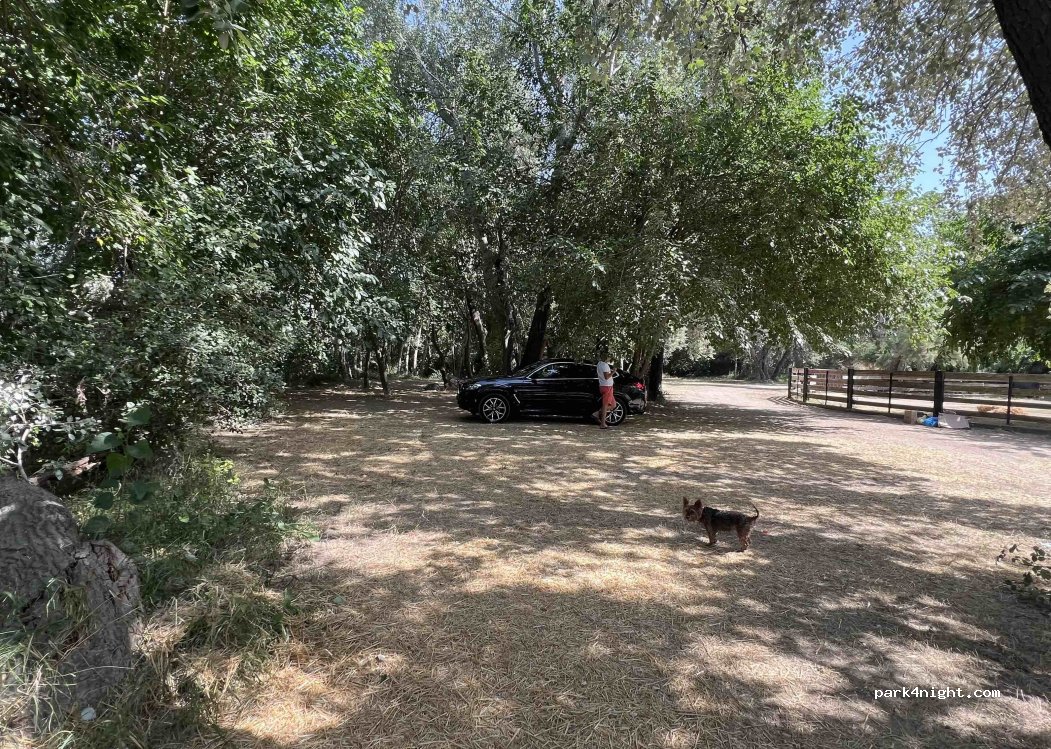 (43591) Aldover - 95 Vial Camino — foto