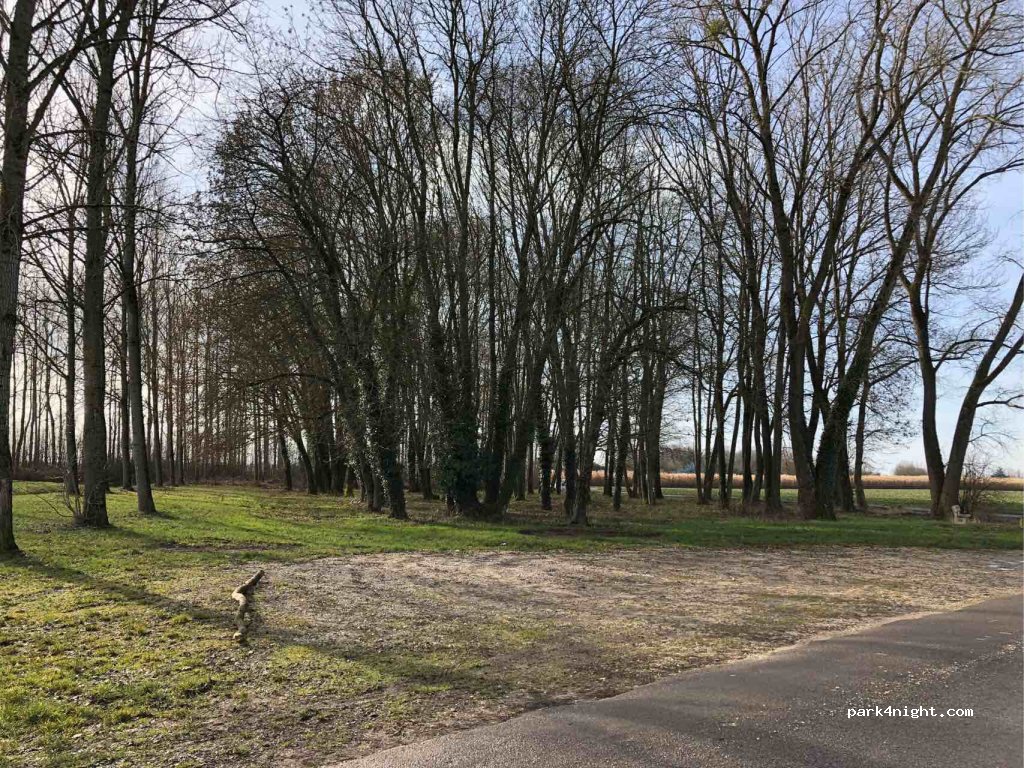 (21250) Seurre - Chemin de la Vie des Vaches — foto