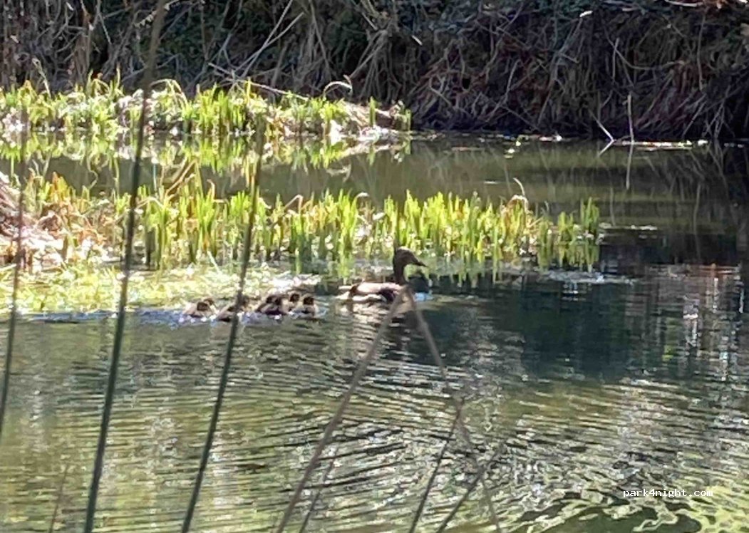 Les Renardières — foto 2
