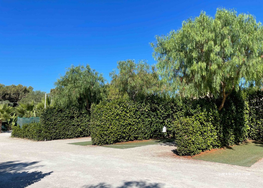 (92100) Dune - 77 Viale delle Dune — foto 2