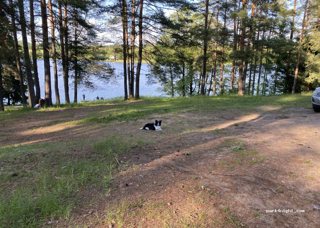 (4630) Mostovaja - Papardes — foto