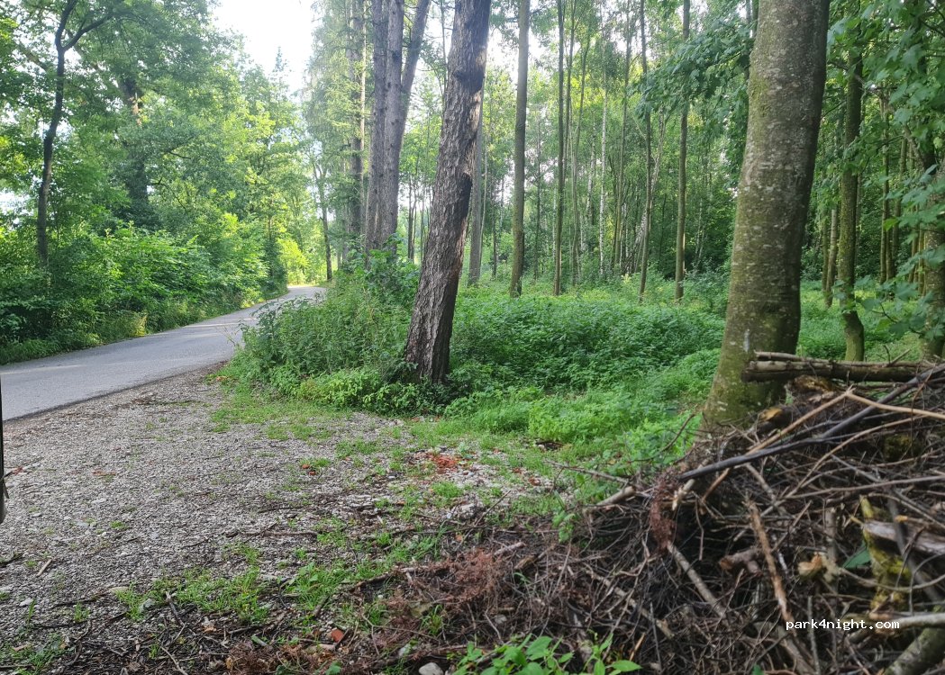 (4622) Eggendorf im Traunkreis - Eggendorfer Straße — foto 3