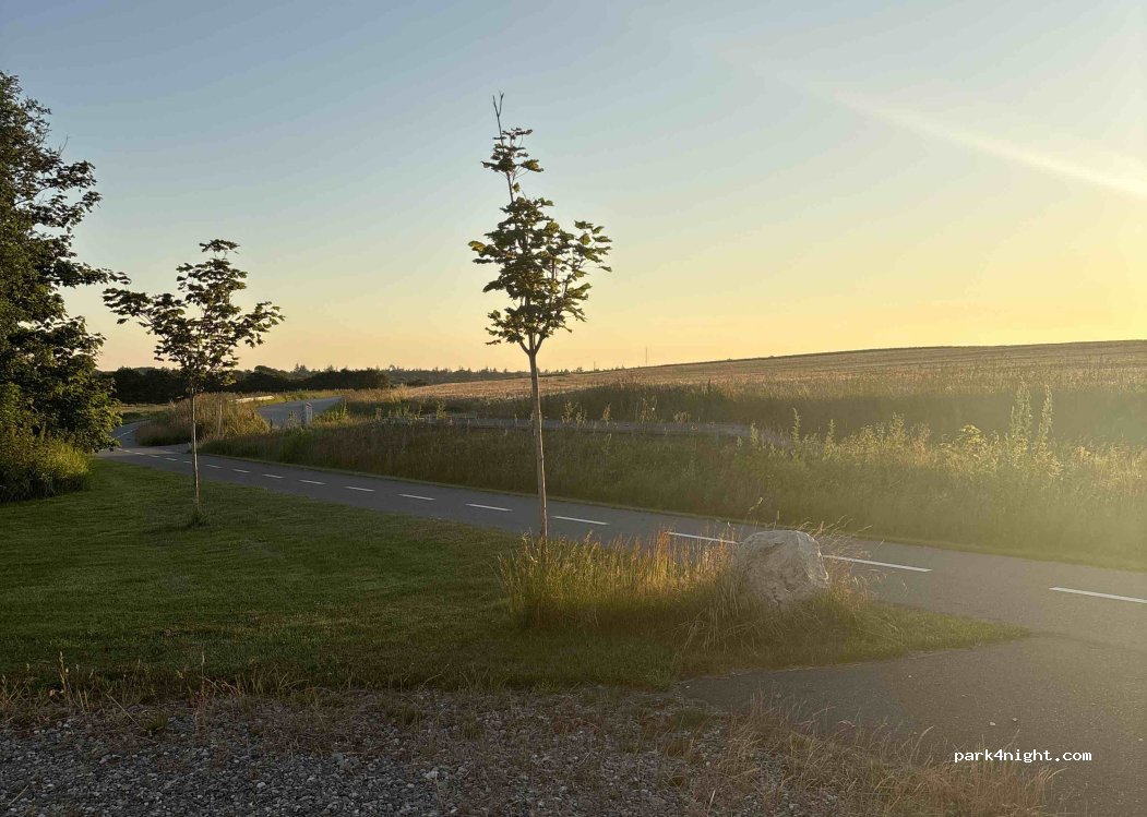 (9493) Saltum - 39 Faarupvej — foto 2