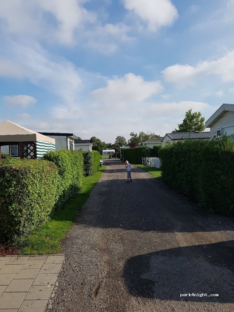 Zeeland Camping Zonneweelde — foto 4
