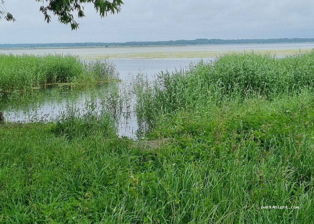 (3401) Liepāja - 78 Jaunā iela — foto 2