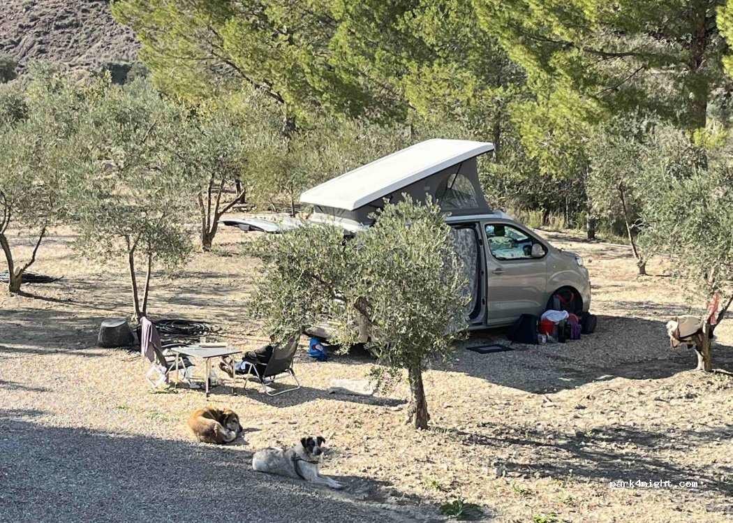 (46623) Jarafuel - 390 Plaça Poligono 15 — foto