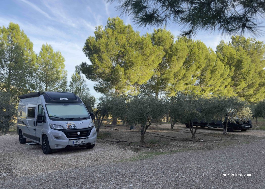 (46623) Jarafuel - 390 Plaça Poligono 15 — foto 5