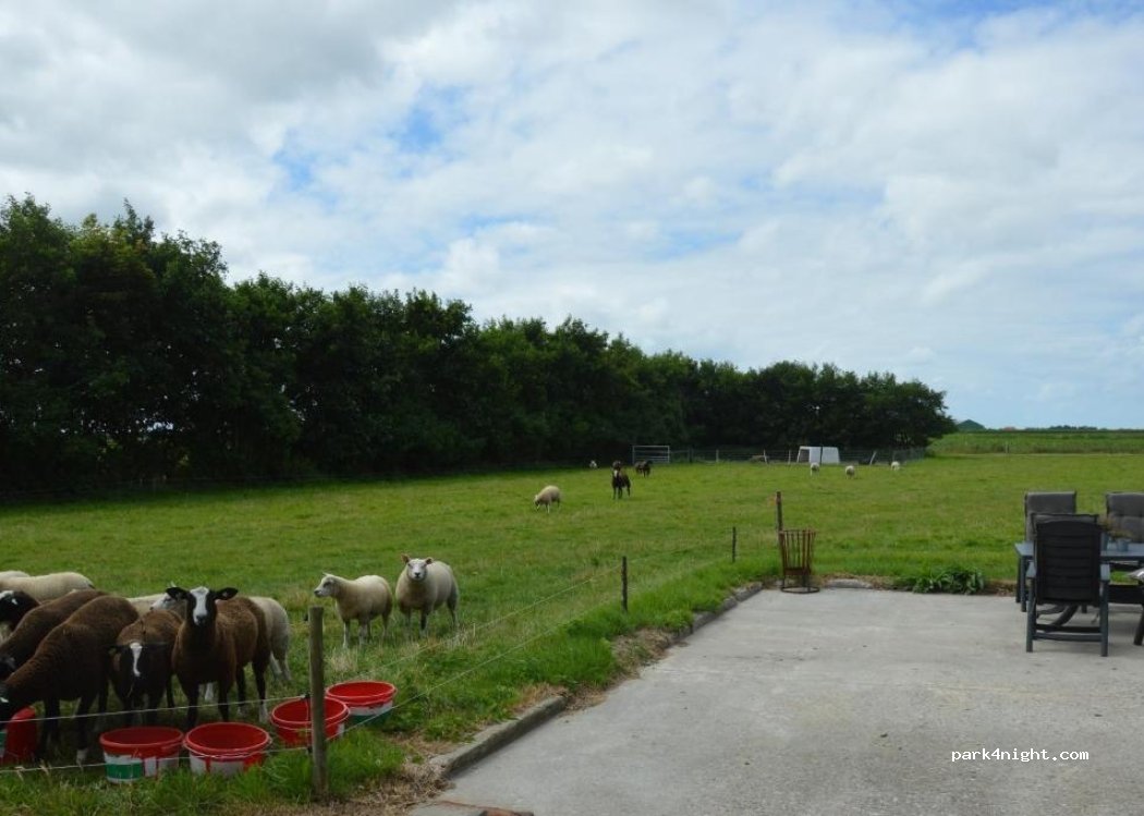 (1794 HA) Oosterend - 11 Stuifweg — foto 2
