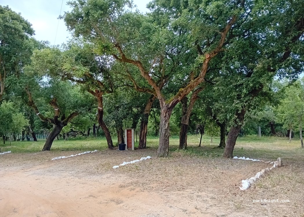 (2040) Rio Maior - 62 Rua Padre Cura — foto 2