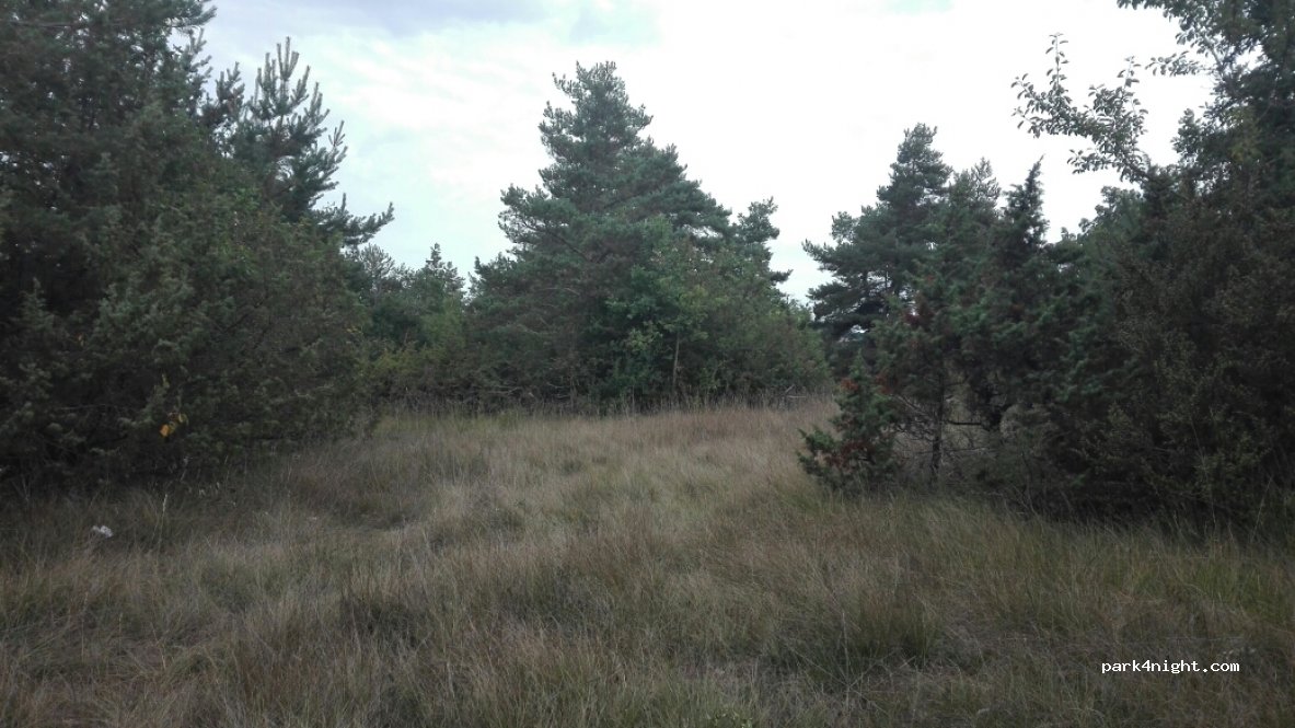 (48500) Le Massegros - Mont Gros — foto 2