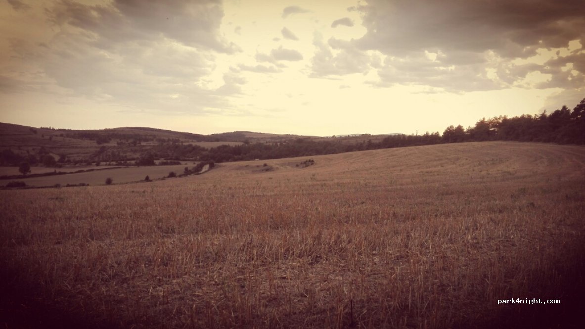 (48500) Le Massegros - Mont Gros — foto 3