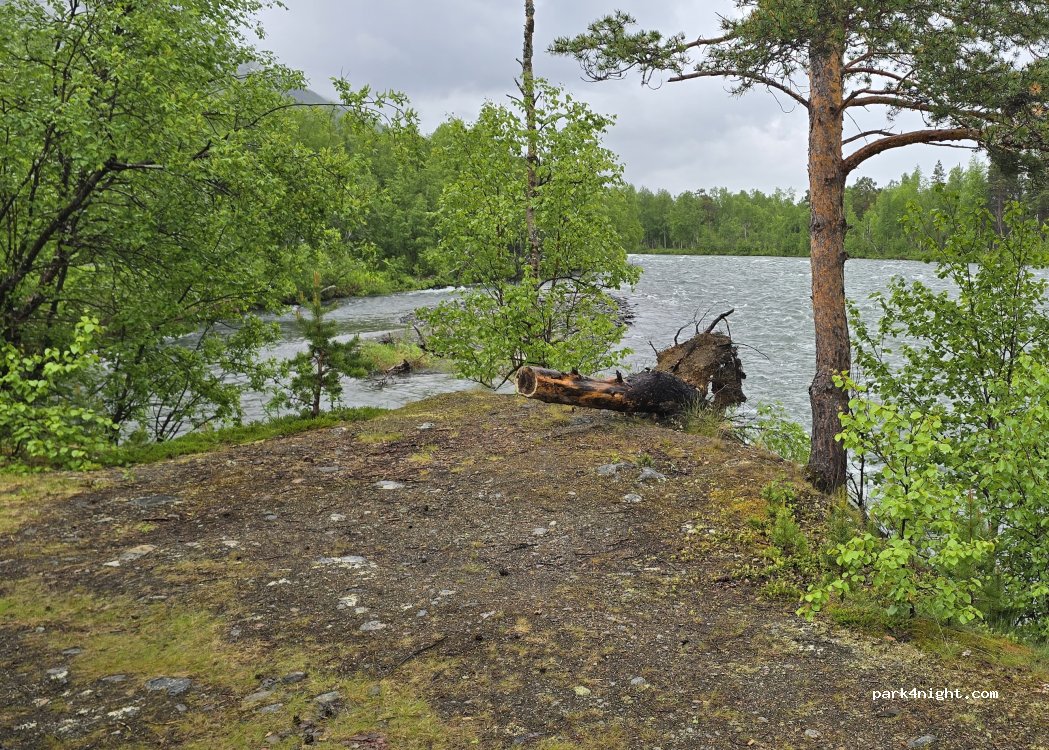 (9334) Øverbygd - 2925 Dividalsveien — foto 3
