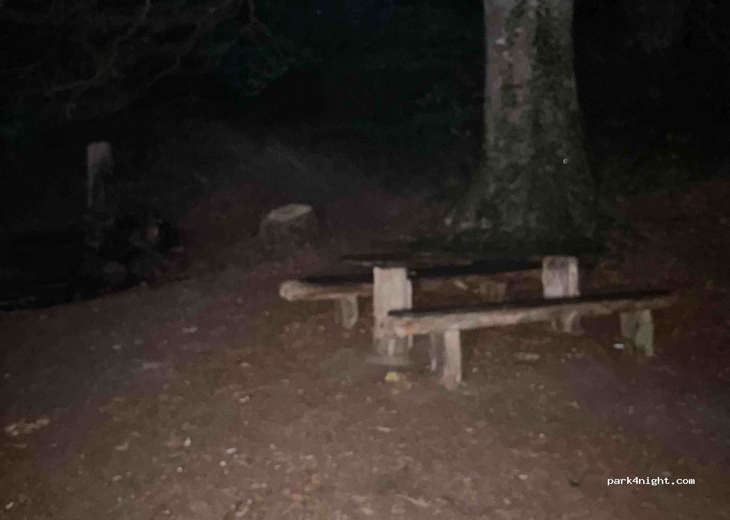 (78337) Öhningen - — foto 2