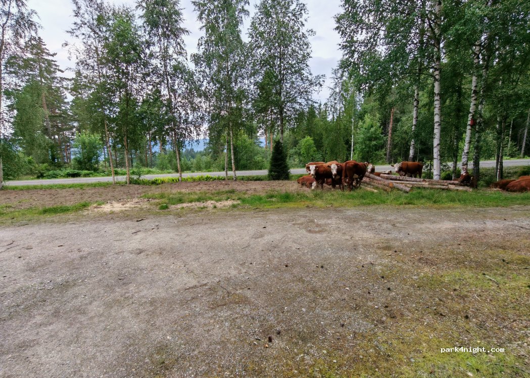(2092) Minnesund - — foto 2