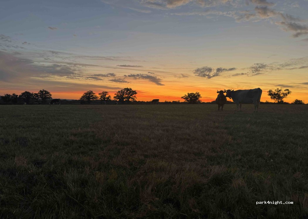 (87190) Magnac-Laval - 6 Le Grand Monteil — foto 2