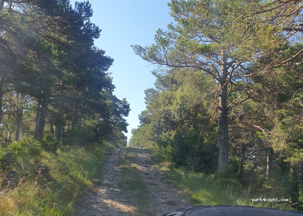 (22347) Morillo de San Pietro - — foto 2