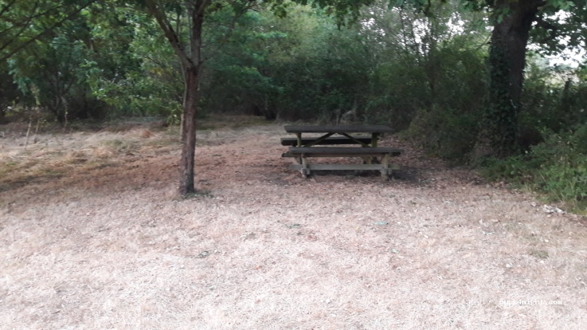 (85220) La Chaize Giraud - Chemin des mottes — foto