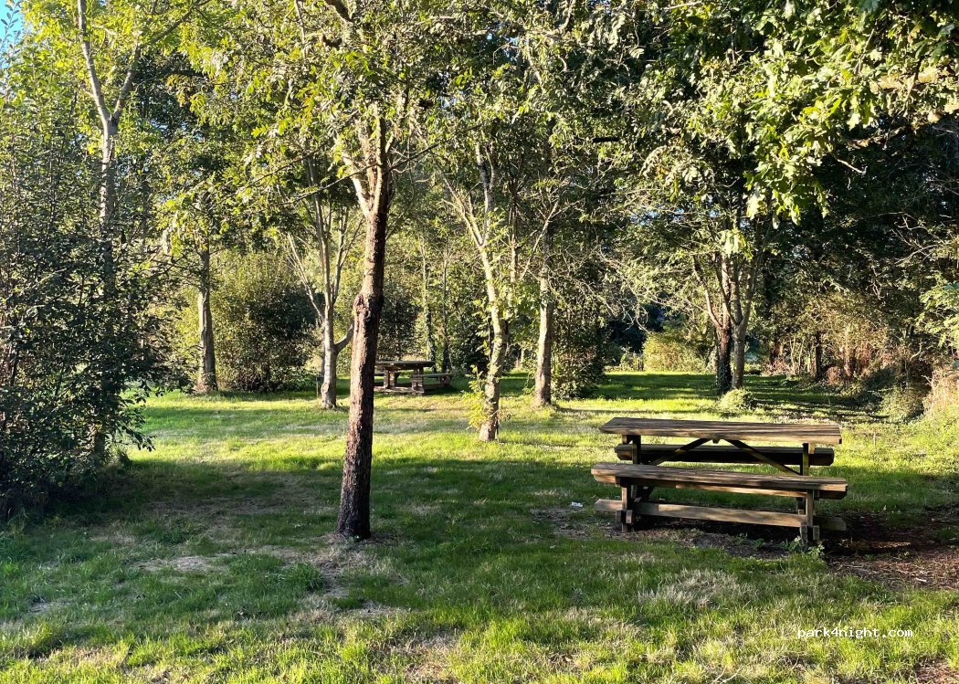 (85220) La Chaize Giraud - Chemin des mottes — foto 4