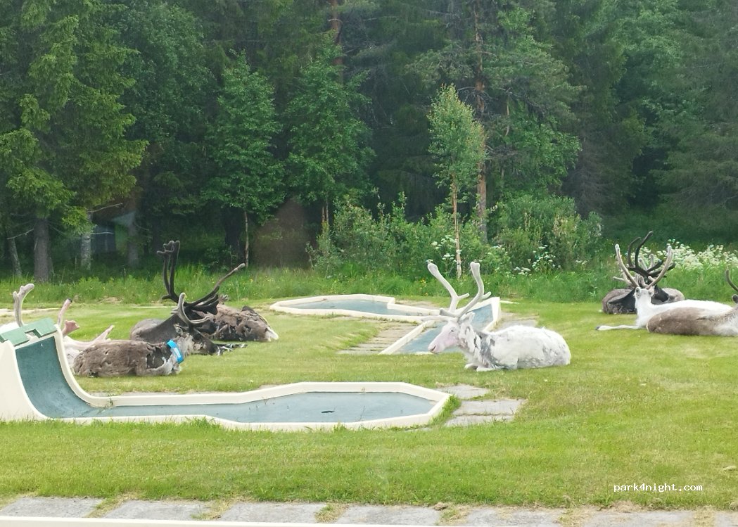 Slagnäsforsens Camping — foto 2