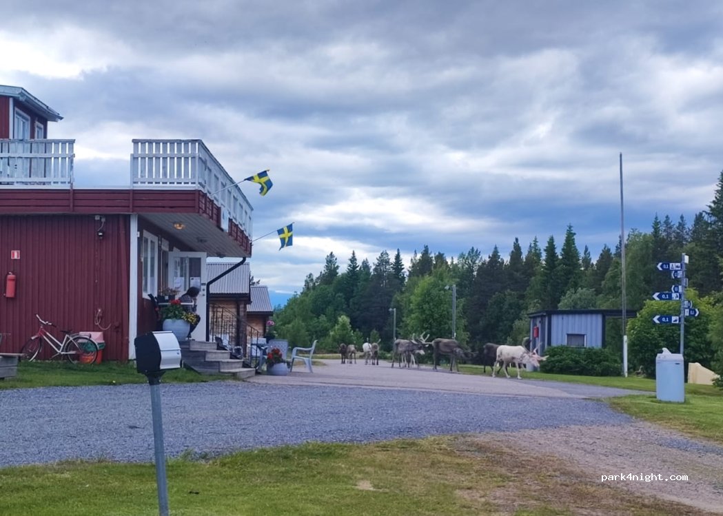 Slagnäsforsens Camping — foto 3