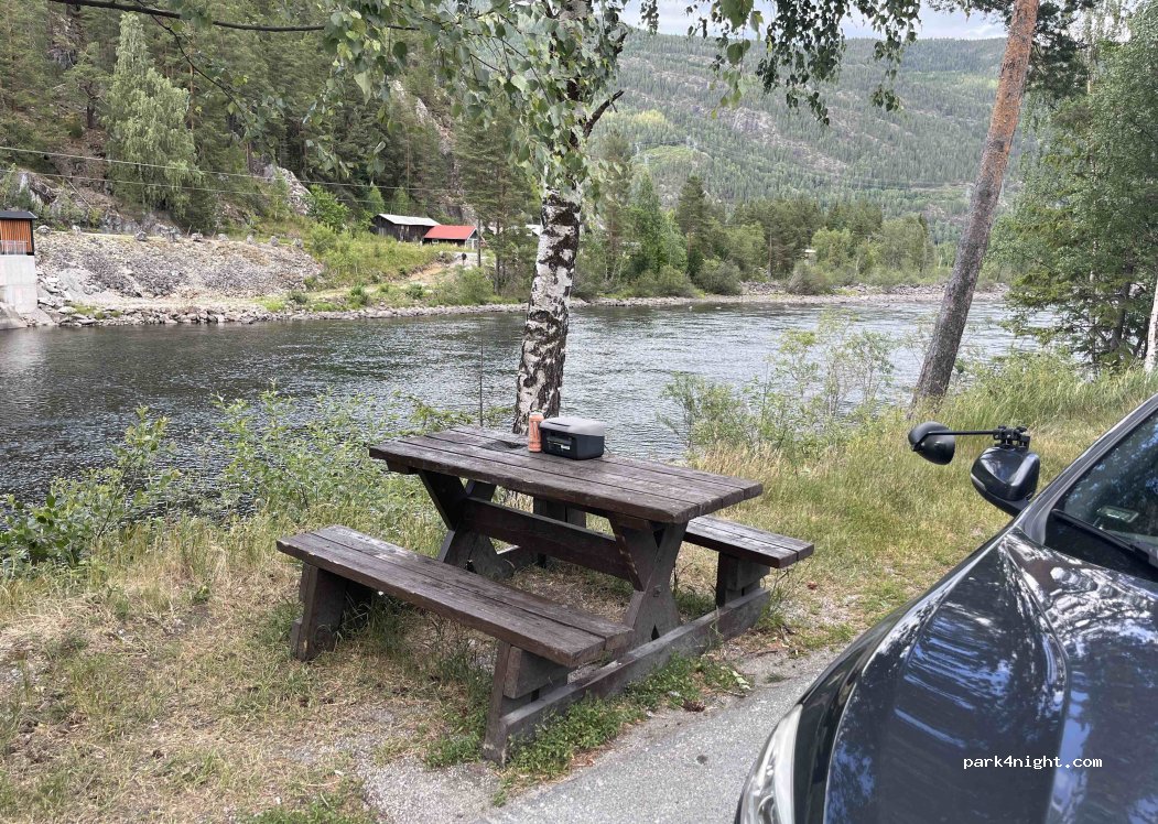 (3540) Nesbyen - 3839 Riksveg 7 — foto 3