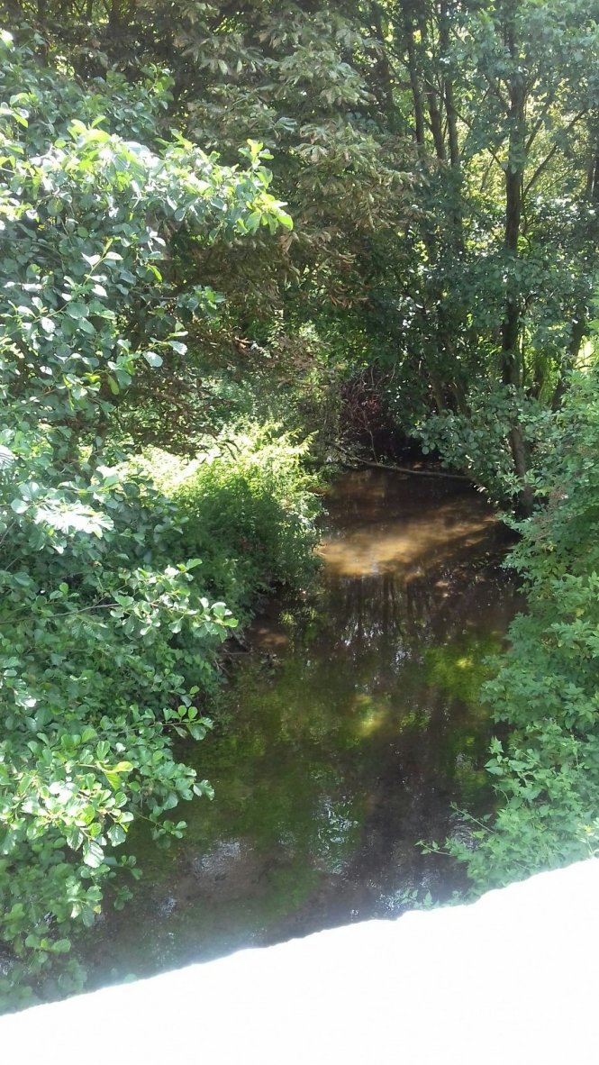 (50240) Montanel - 1 Le Pont Chennevel — foto 2