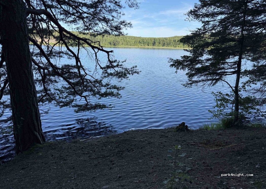 (618 33) Kolmården - — foto