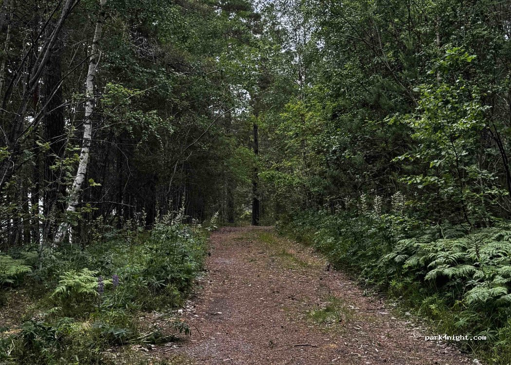 (618 33) Kolmården - — foto 2