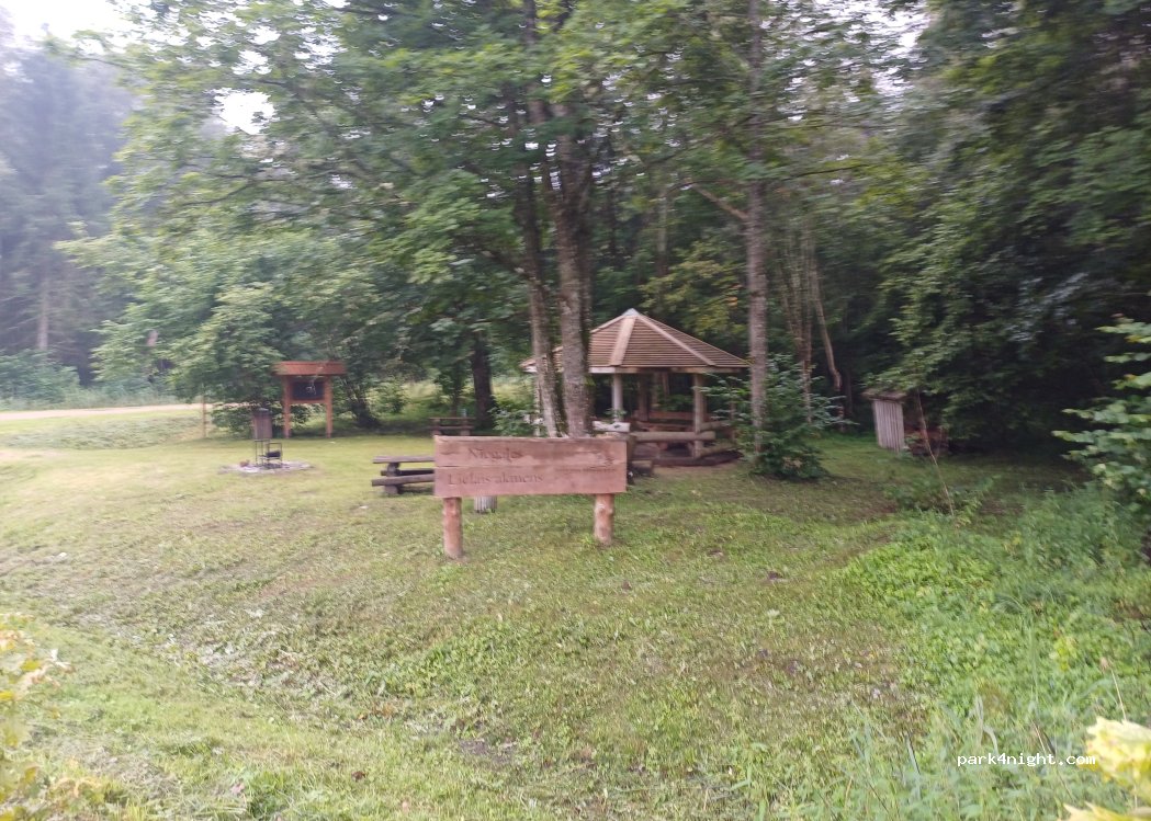 (5463) Dreiski - Mezvidi — foto 2