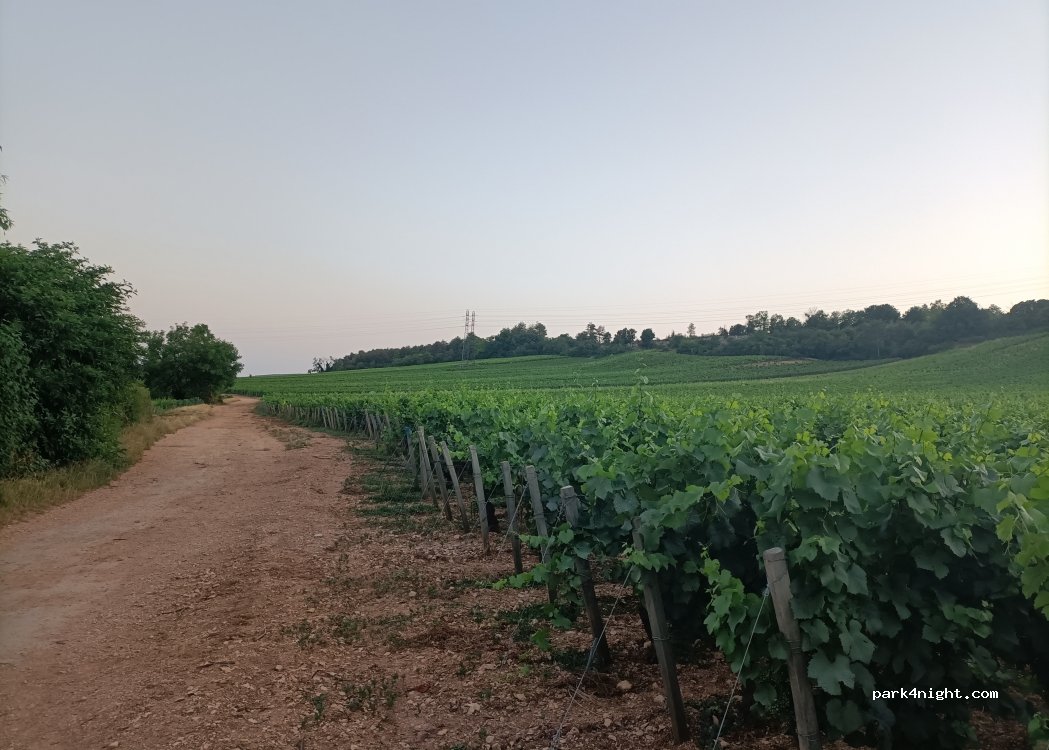 (21300) Chenôve - 4 Chemin du Bas du Clos du Roy — foto 4