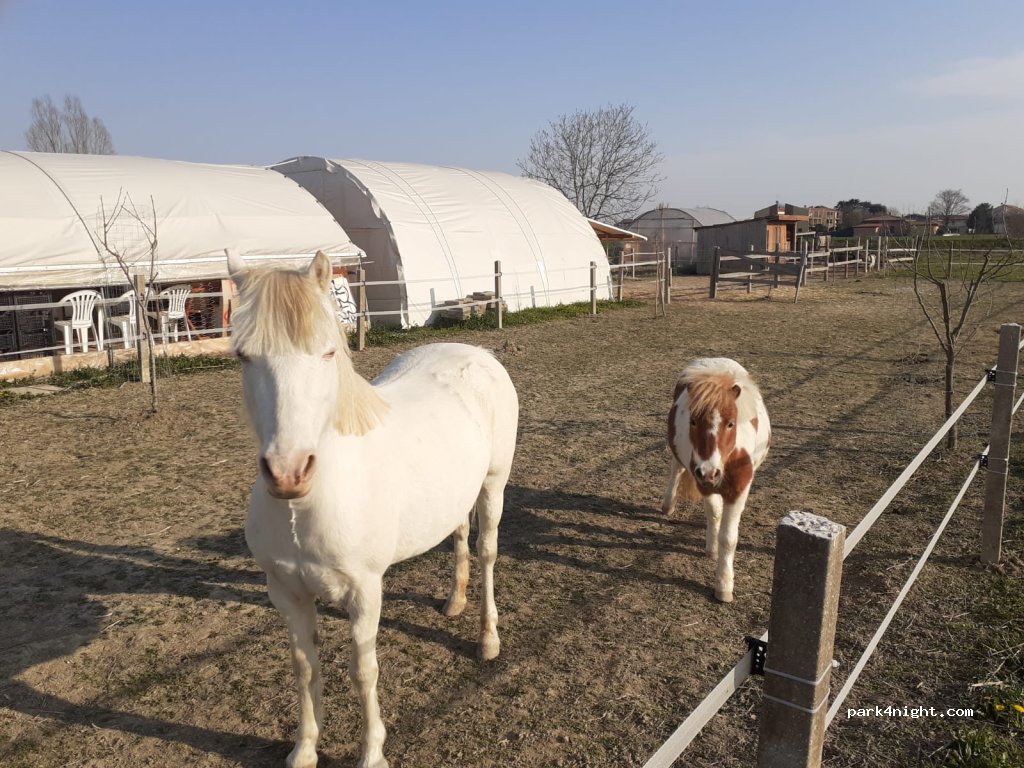 Piccola fattoria/Small Farm — foto