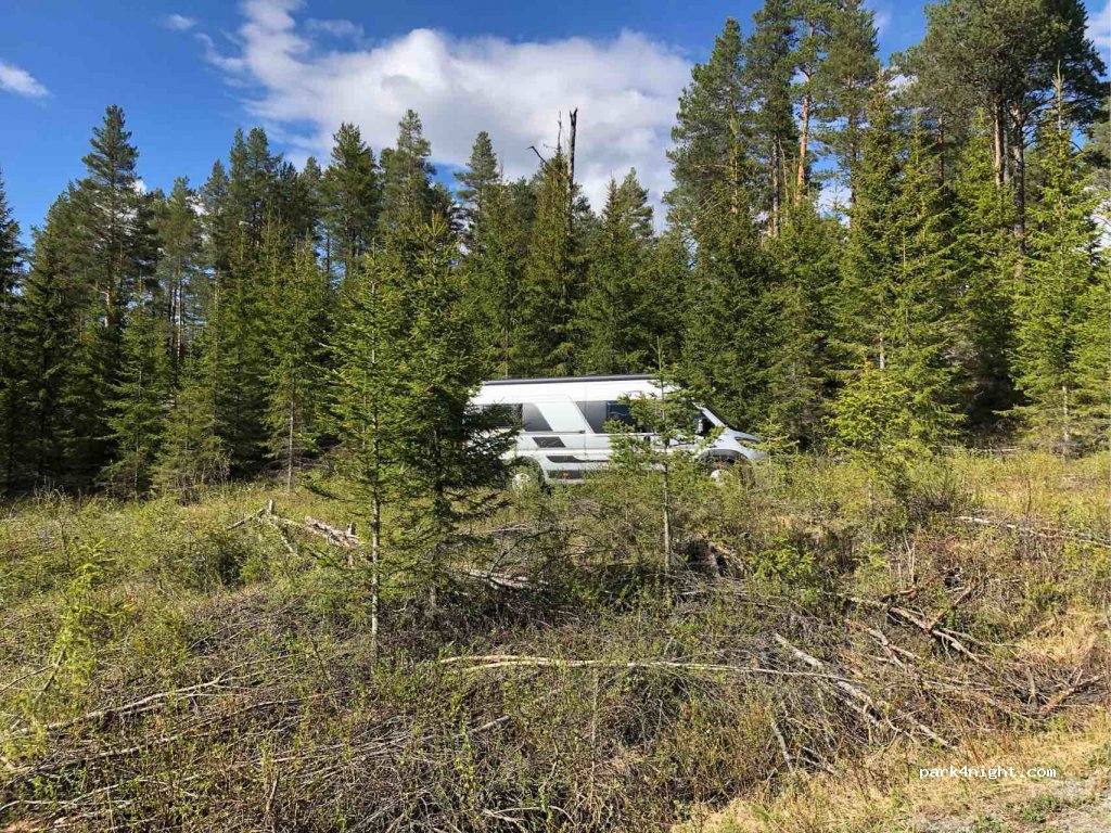 (2940) Heggenes - 81 Dalsvegen — foto 4