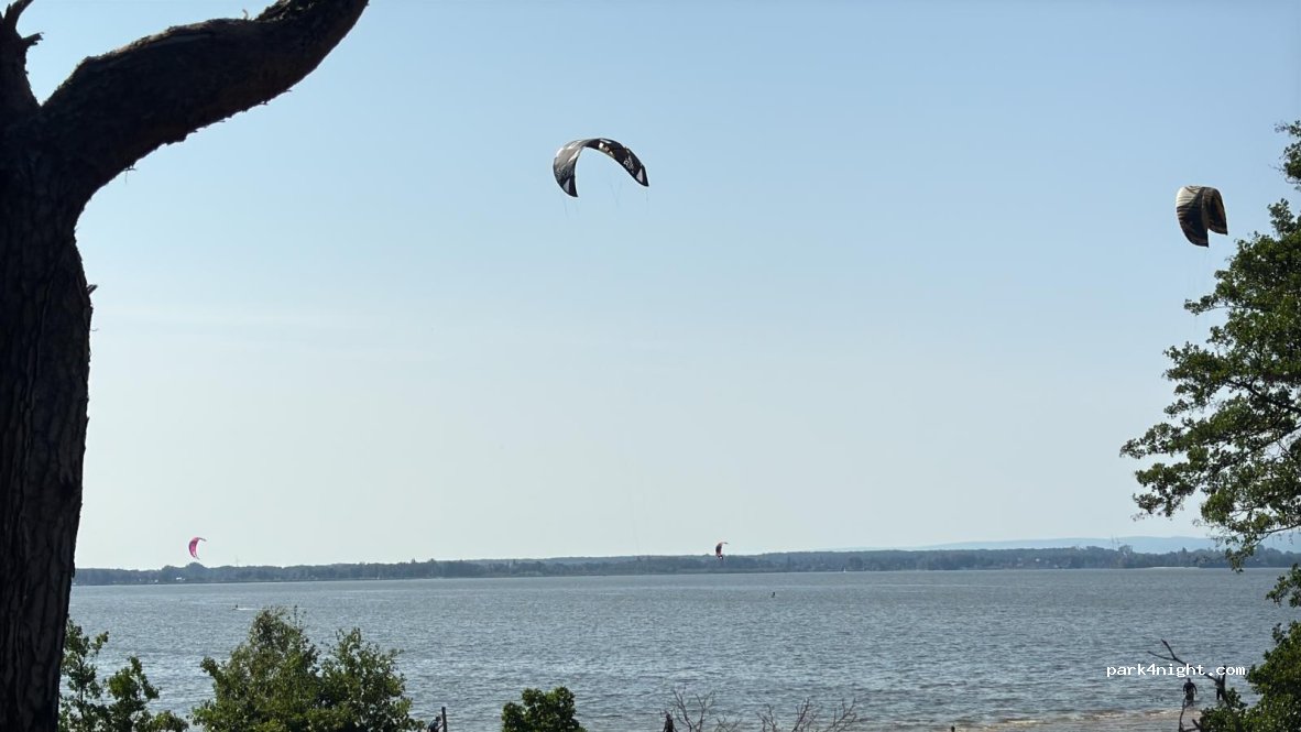 WaveCult am Strandhotel — foto 4