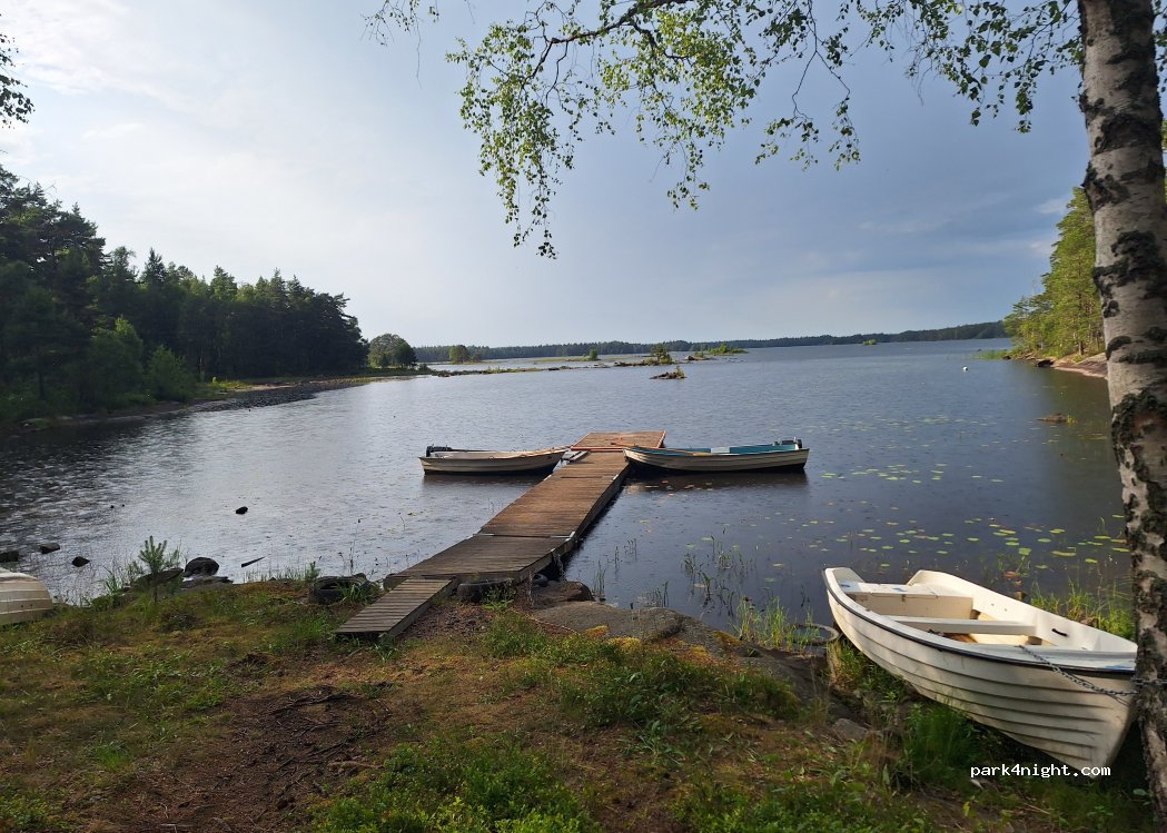 (382 74) Kråksmåla - — foto