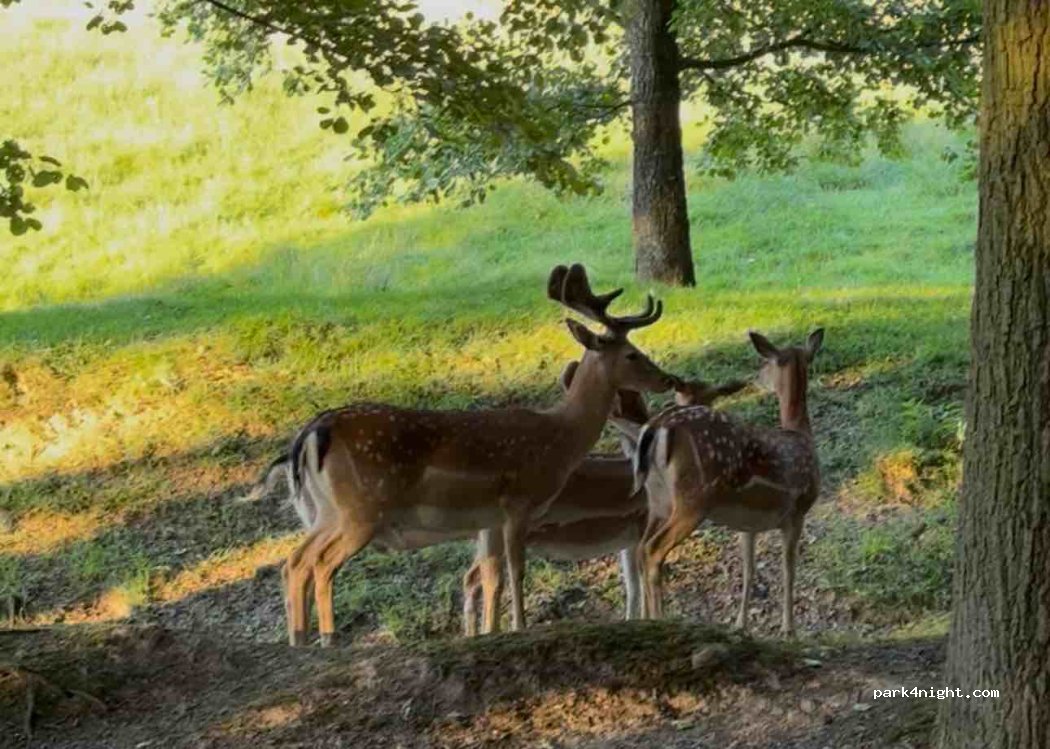 (397 01) Písek - 1053 Budějovické Předměstí — foto