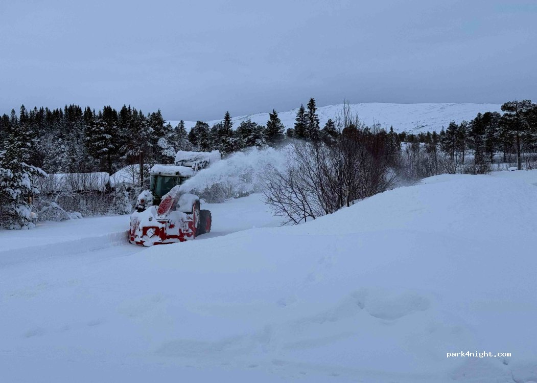 Høgkjølen Fjellcamp — foto 5