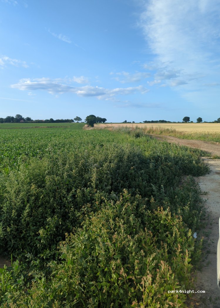 (NR29 3BQ) Great Yarmouth - Sandy Ln — foto