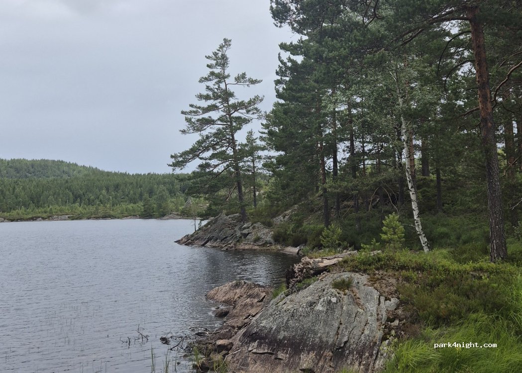 (4985) Vegårshei - 707 Fjordbygdveien — foto 3