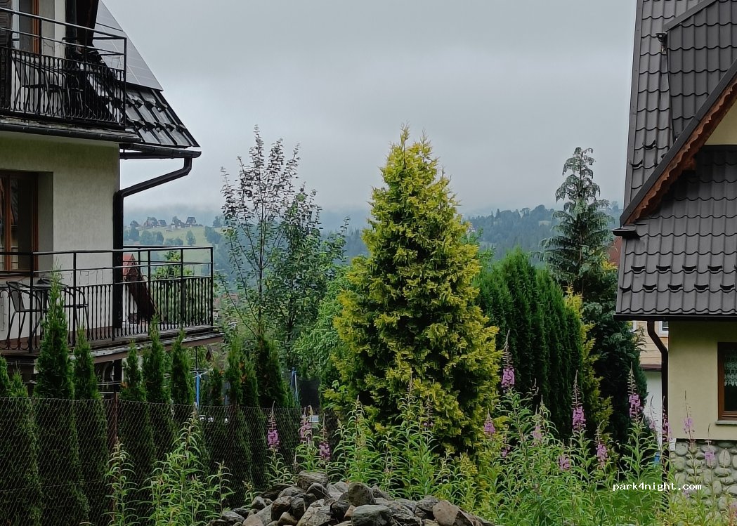 (34-500) Zakopane - 55 Osiedle Pardałowka — foto 2